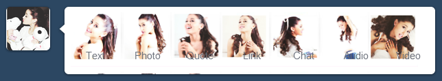 Ariana Grande Dash Icon Bar