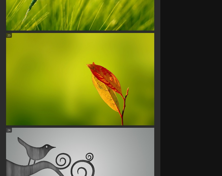 imgur - numbered album images