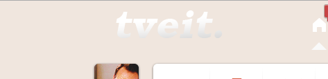 Tumblr logo: tveit