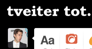 tveiter tot tumblr logo
