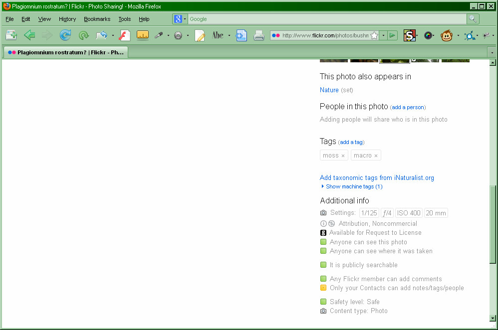 Flickr - Always show additional info - OUTDATED