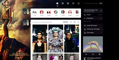 THG: Catching Fire tumblr theme - Katniss
