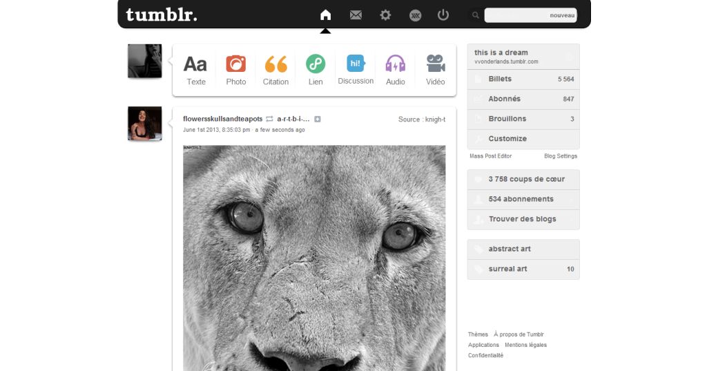 Customizable Tumblr dashboard