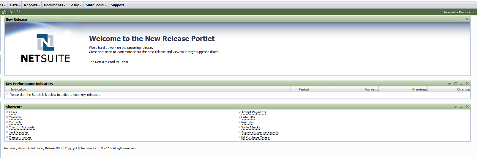 Netsuite Green Alternative Theme