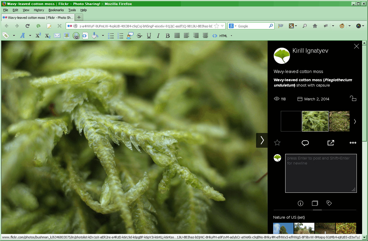 Flickr photo page for Firefox
