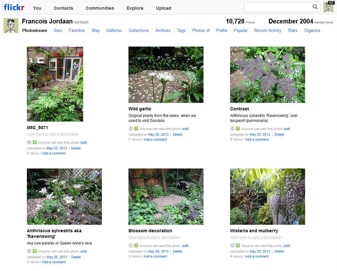 Classic Flickr header and navigation