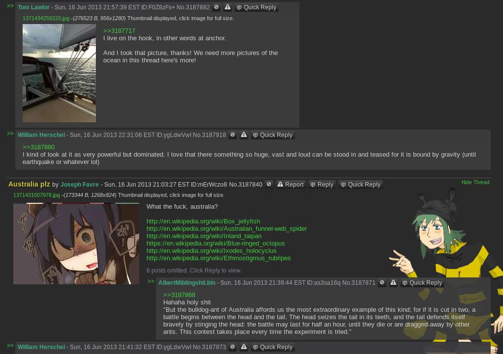420chan Themed TCC-tan