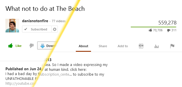 Hide Flash Video Downloader YouTube button