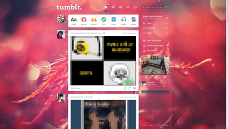 Dashboard | tumblr | pink plant