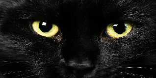 NightBits Facebook Black Style!