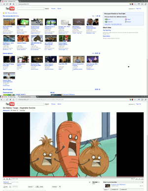 Bigger Youtube HD