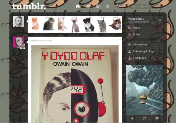 Kittens [Tumblr dash theme]