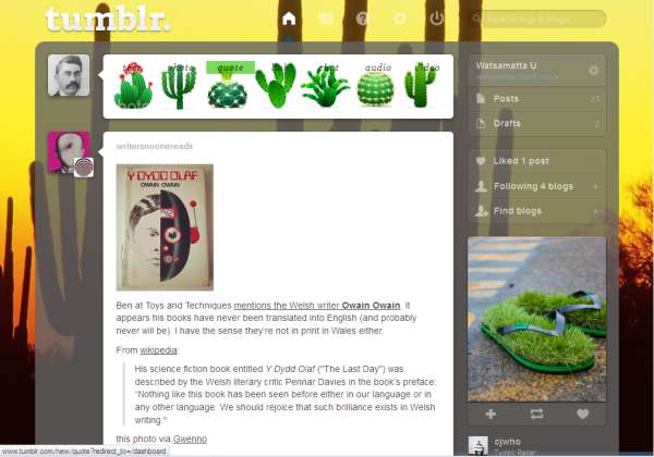 Cactusses (Cactussi?) [Tumblr dash theme]