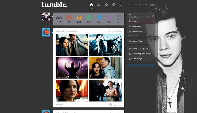 Harry Styles #1 Tumblr Dashboard | sweetenouis