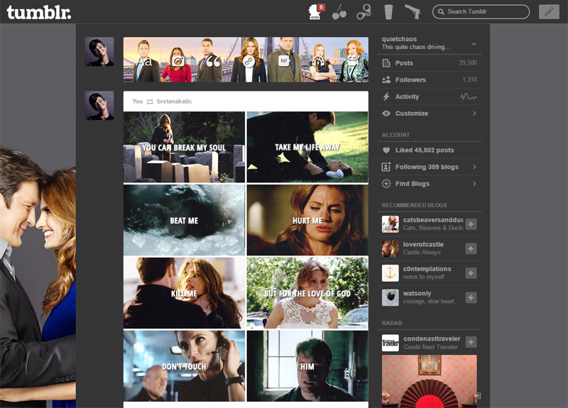 Tumblr - Castle dashboard (small)