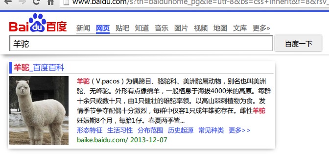 优雅的百度搜索结果