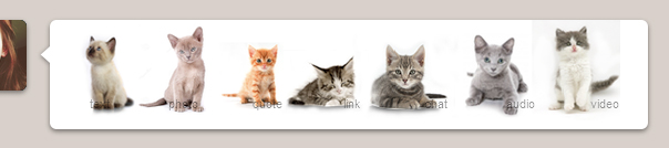 kittens tumblr dashboard icons