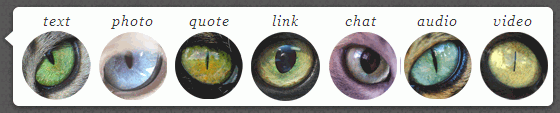 Cat-eye [Tumblr post icons]