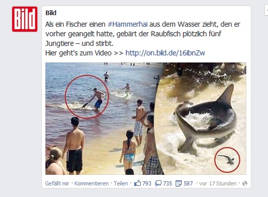 fb redesign 2013