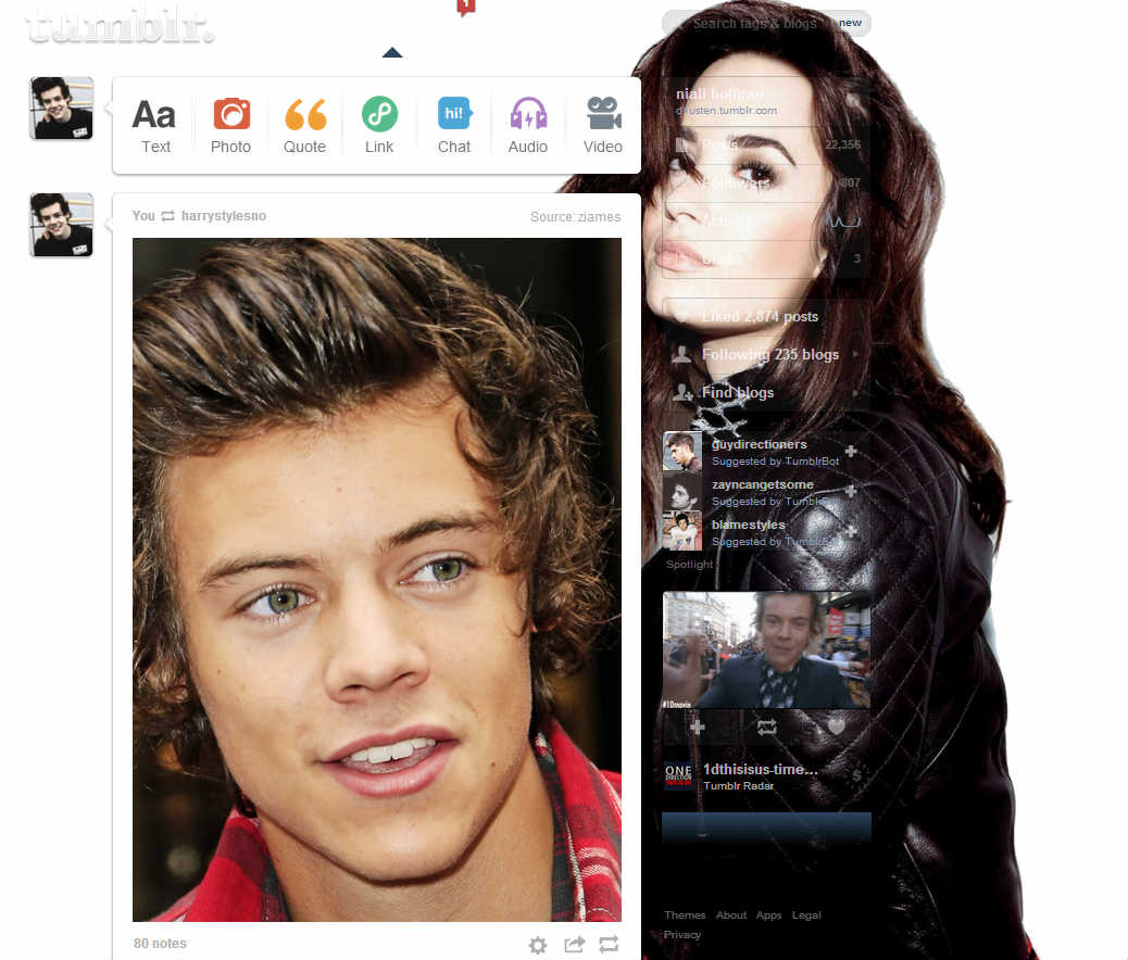 Demi Lovato tumblr theme #1