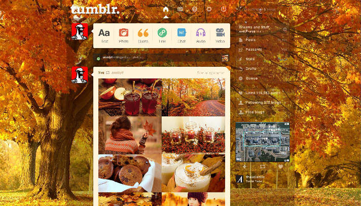 Orange Autumn Leaves Dashboard Theme