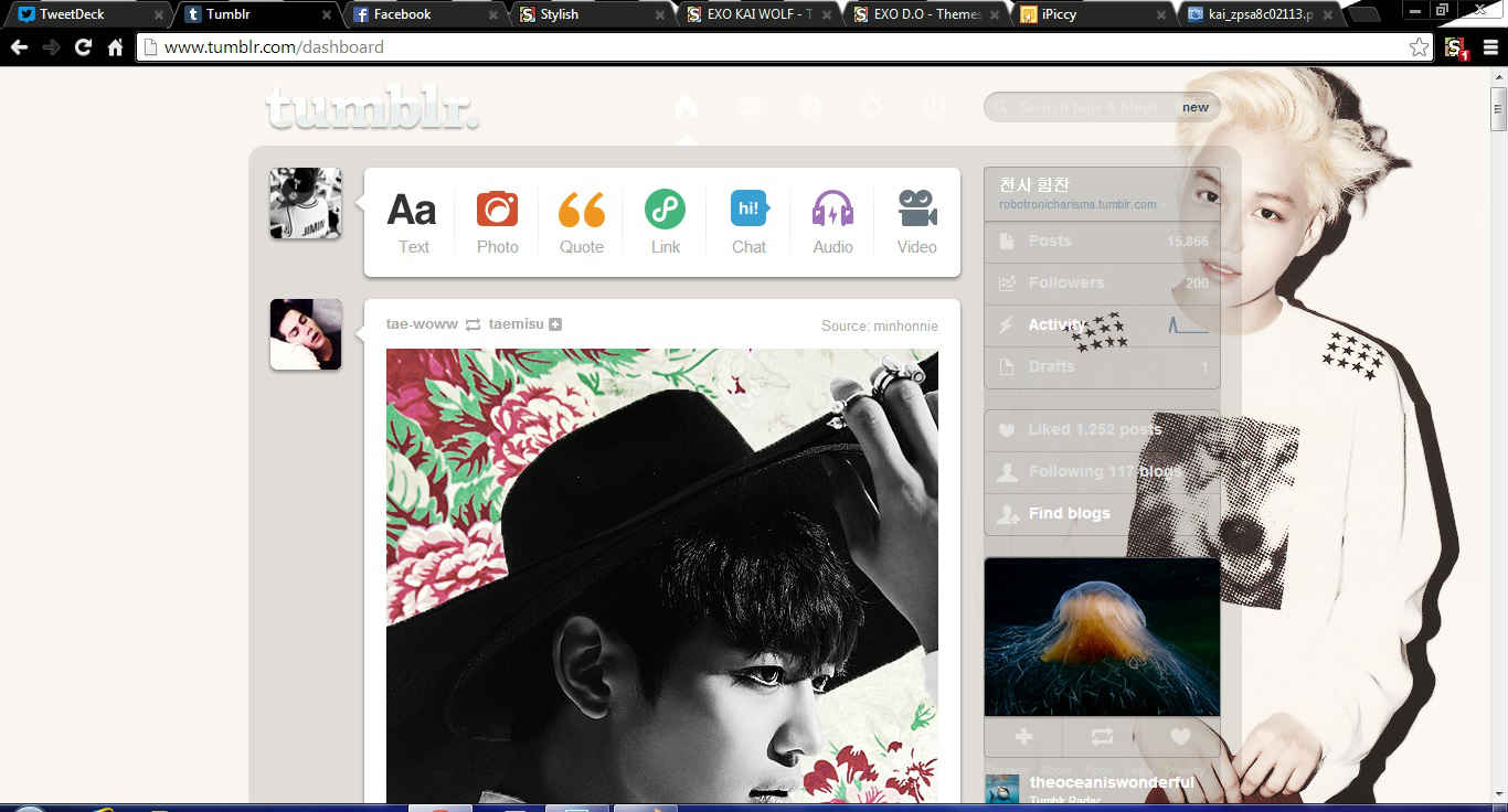 EXO KAI WOLF