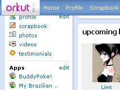 Orkut: Lock Header on Top of Screen