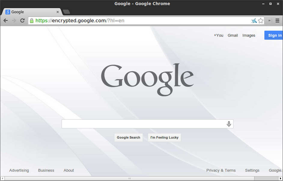 Silver Google