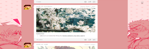 NaeIshi Dashboard Theme