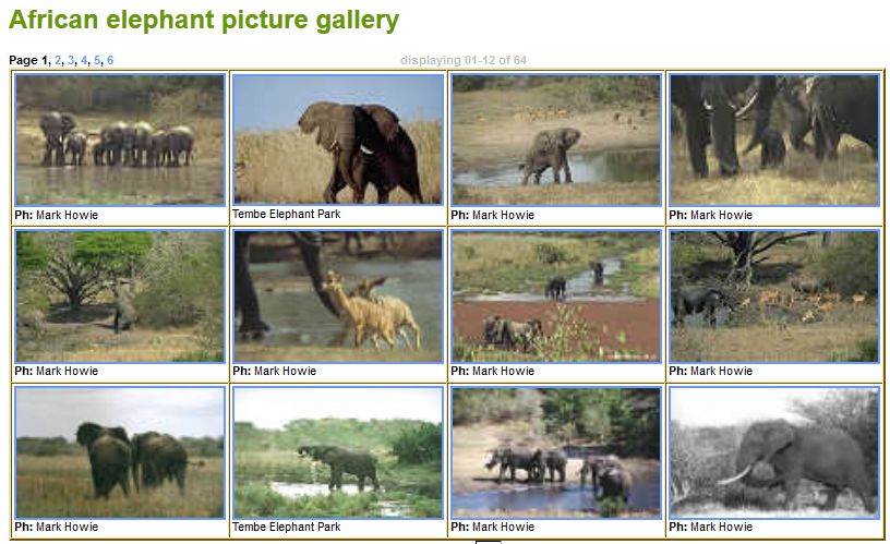 Bigger Thumbnails for galleries - global