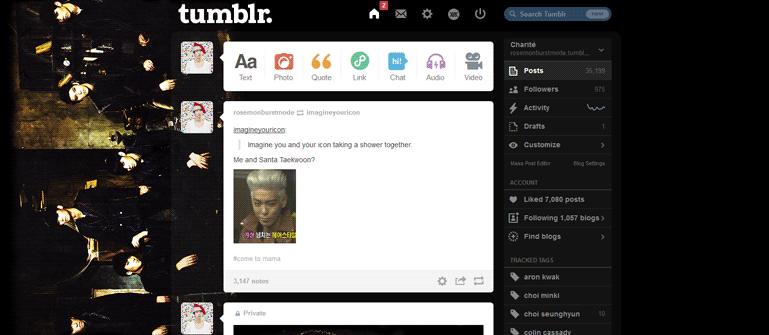 VIXX Tumblr Dashboard (Voodoo ver)