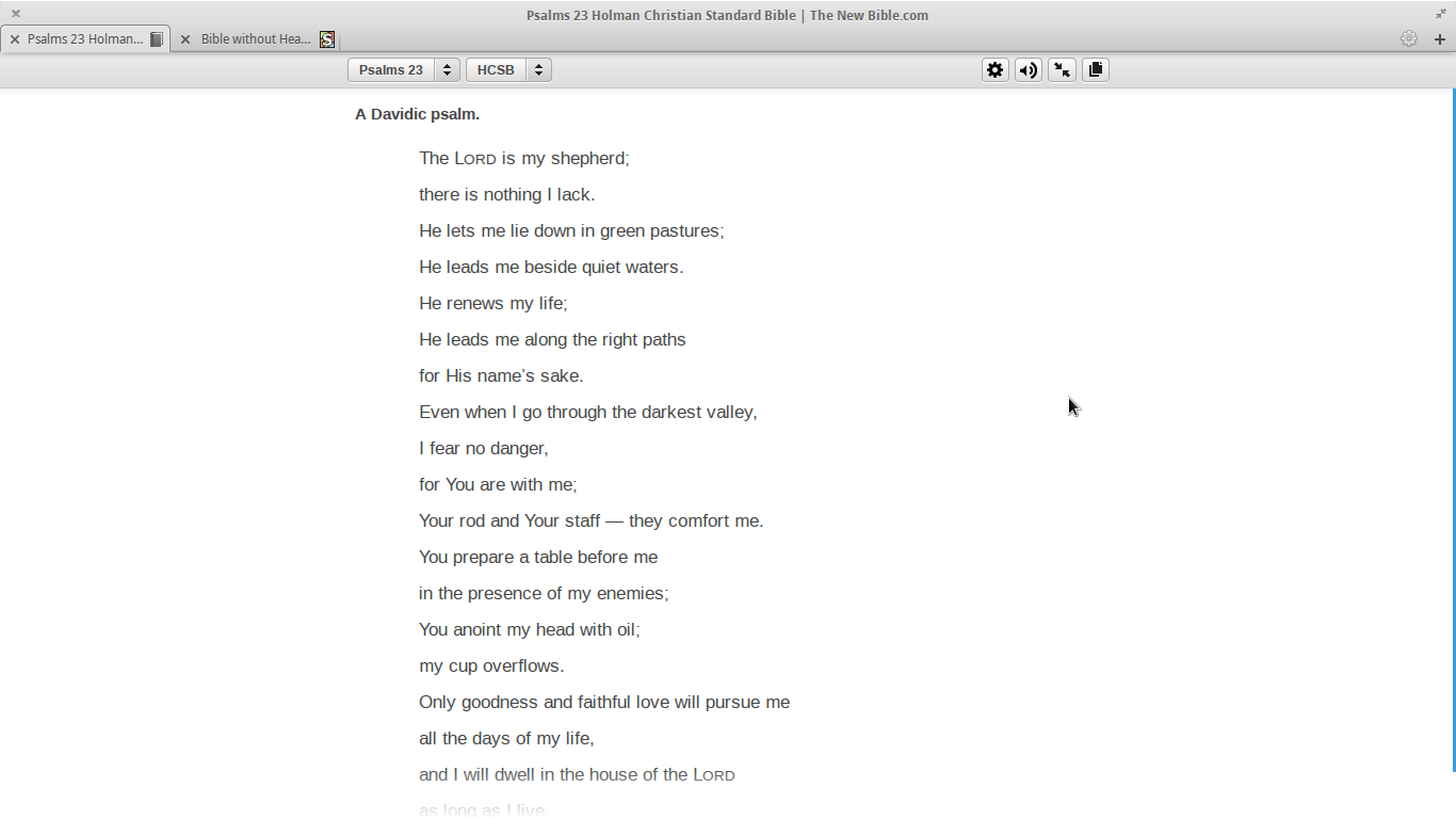 Bible without Header or verse numbers