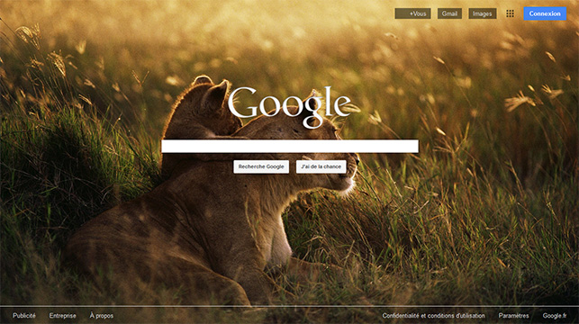 Google's lions