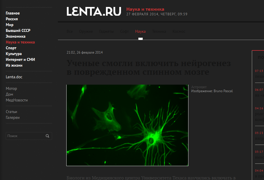 Dark lenta.ru 2014