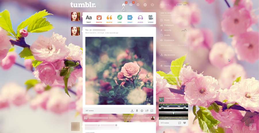 Tumblr cherry blossom flower background theme