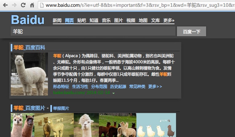 【夜间版】优雅的百度搜索