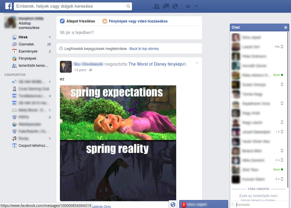 Logical-Minimal Facebook