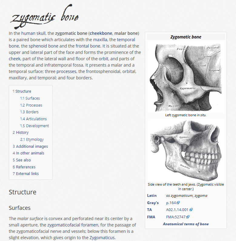 Wikipedia — paper edition
