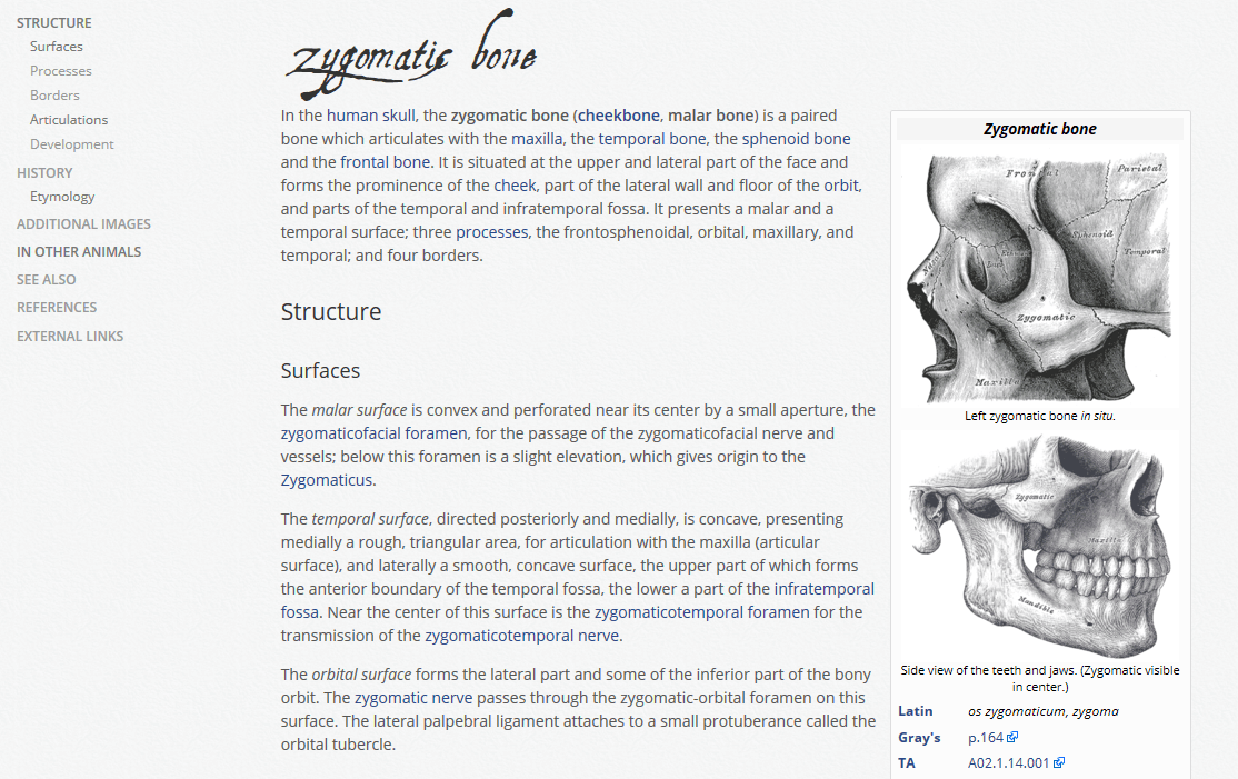 Wikipedia Paper — sidebar edition