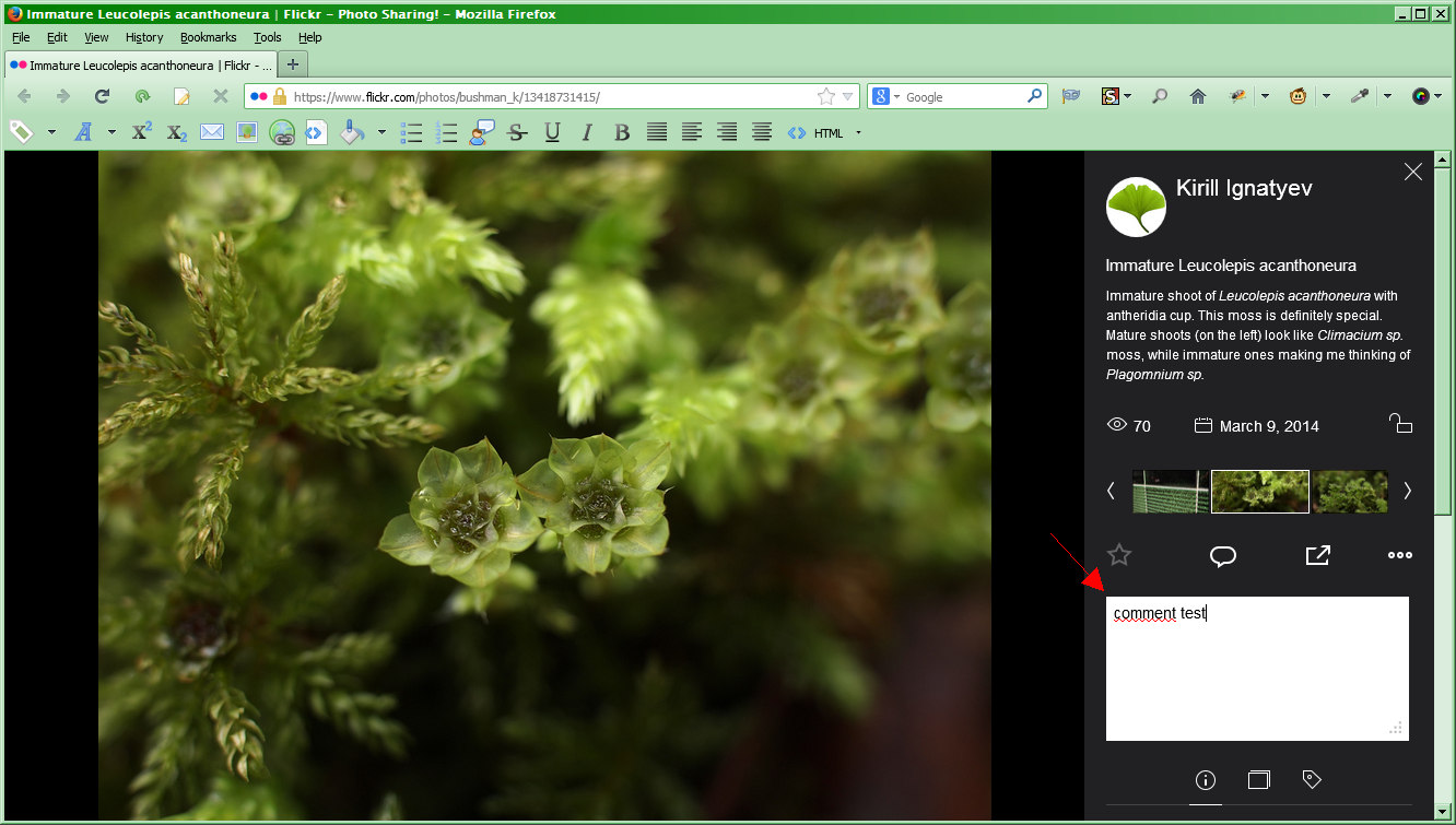 Flickr: wider comment area on single photo page