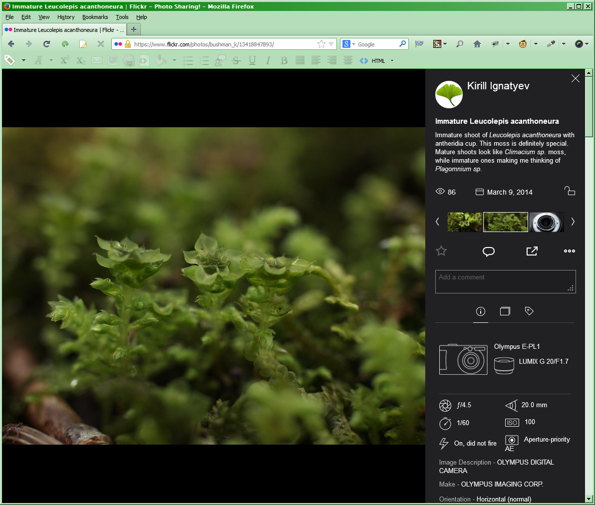 Flickr: a bit smaller font size on photo page