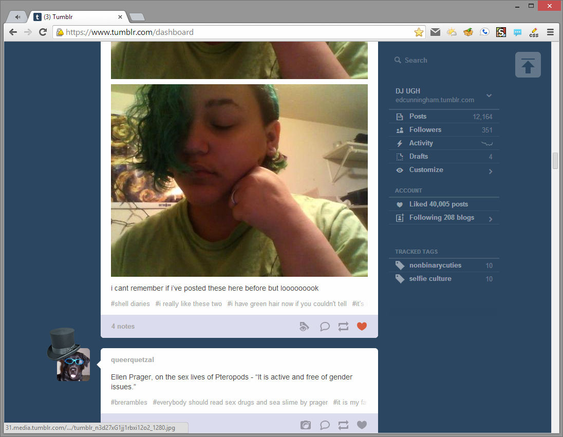Fixed Sidebar for Tumblr (alpha!)